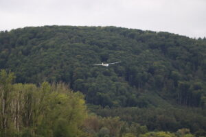 zm.IMG_5182