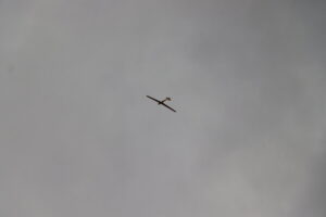 zm.IMG_5241