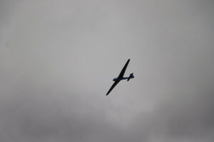 zm.IMG_5252