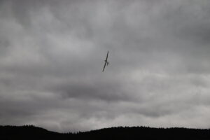 zm.IMG_5291