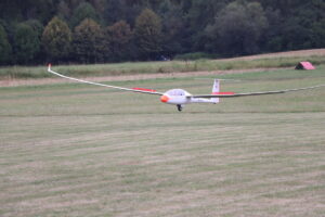 zm.IMG_5317