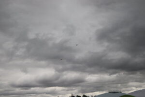 zm.IMG_5337