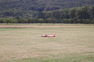 zm.IMG_5393