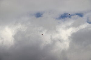 zm.IMG_5557