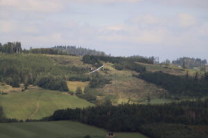 zm.IMG_5567