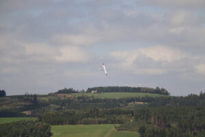 zm.IMG_5569