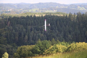 zm.IMG_5579