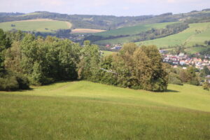 zm.IMG_5592