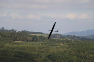 zm.IMG_5603