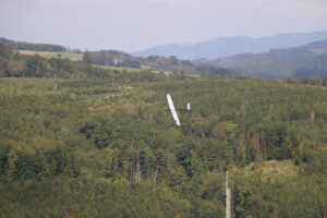 zm.IMG_5605