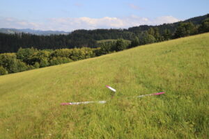 zm.IMG_5620