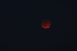 zm.IMG_5673