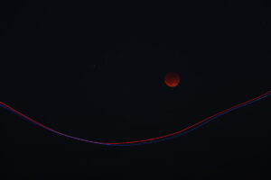 zm.IMG_5678