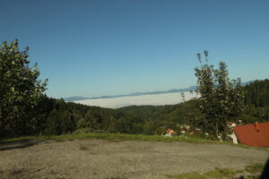 zm.IMG_6440