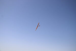 zm.IMG_6454