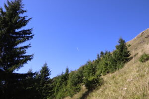 zm.IMG_6468