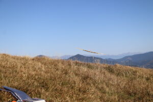 zm.IMG_6483