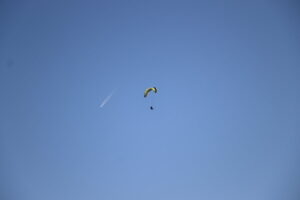 zm.IMG_6488