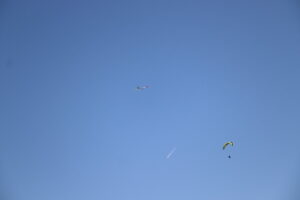 zm.IMG_6489