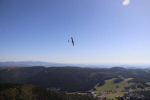 zm.IMG_6526