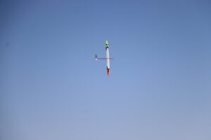 zm.IMG_6529