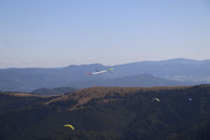 zm.IMG_6531