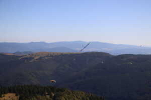 zm.IMG_6539