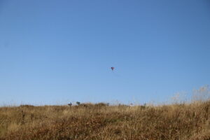 zm.IMG_6555
