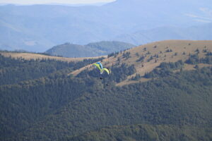 zm.IMG_6556