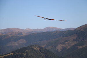 zm.IMG_6573