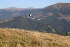 zm.IMG_6575