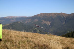 zm.IMG_6599