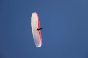 zm.IMG_6608