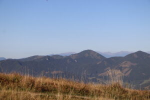 zm.IMG_6617