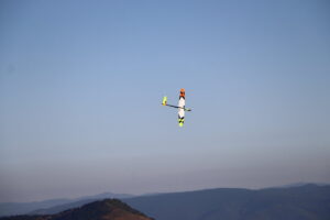 zm.IMG_6618