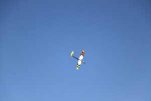 zm.IMG_6624