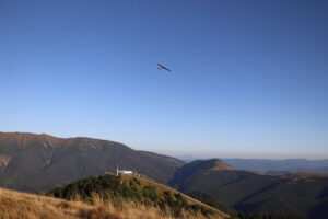zm.IMG_6638