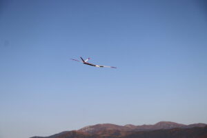 zm.IMG_6640