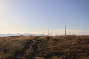 zm.IMG_6644