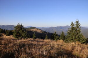 zm.IMG_6645