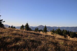 zm.IMG_6646