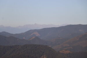 zm.IMG_6647