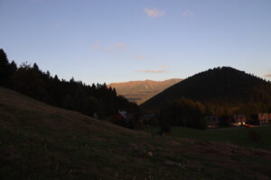 zm.IMG_6656