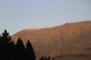 zm.IMG_6657
