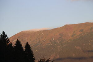 zm.IMG_6658