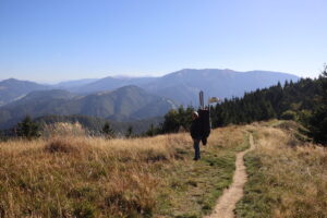 zm.IMG_6666