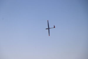 zm.IMG_6669
