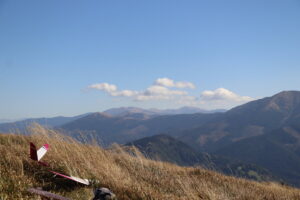 zm.IMG_6707