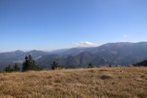 zm.IMG_6711