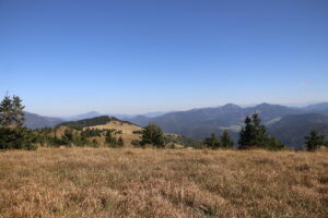 zm.IMG_6712